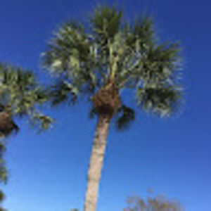 Meet your Posher, Meredyth